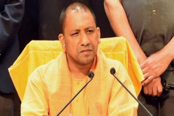 1555486243 cm yogi