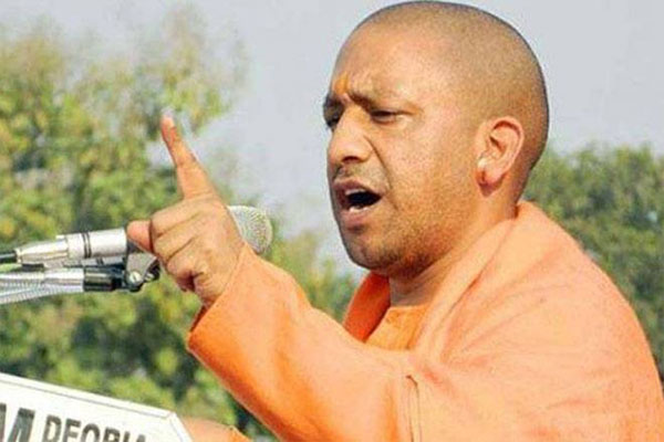 1555486759 yogi on investors