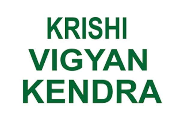 1555486827 rishi