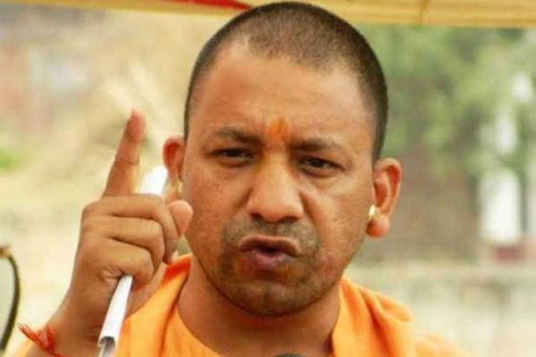 1555487104 yogi