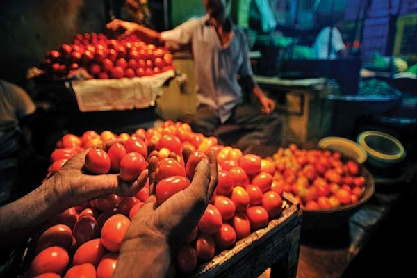 1555516020 tomato