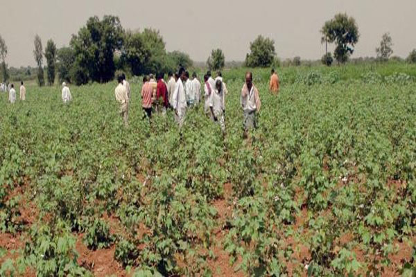 1555517005 maharashtra farmers
