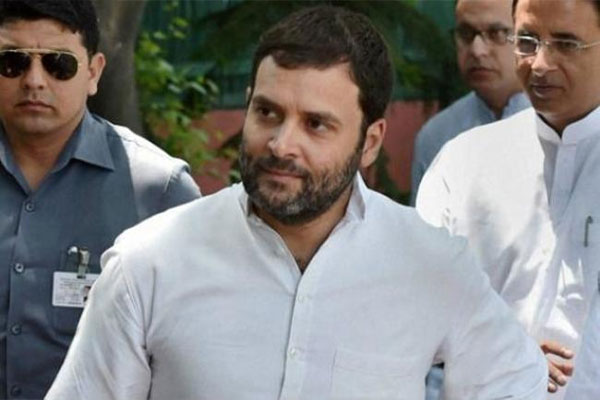 1555517153 rahul gandhi 2