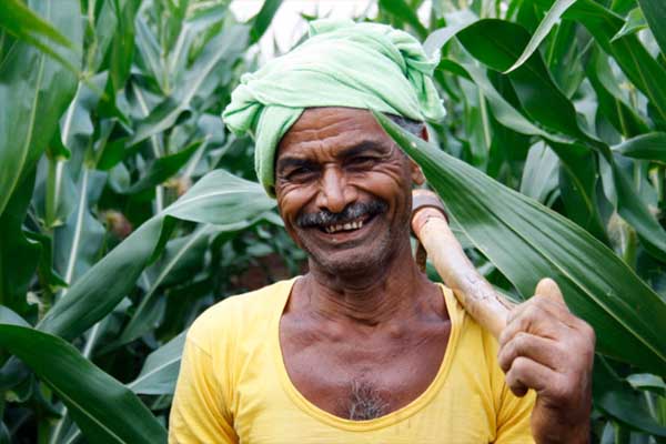 1555517504 farmer 2