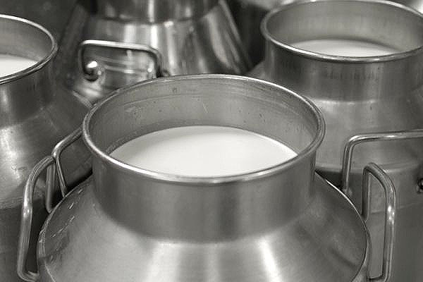 1555517708 adulterated milk1