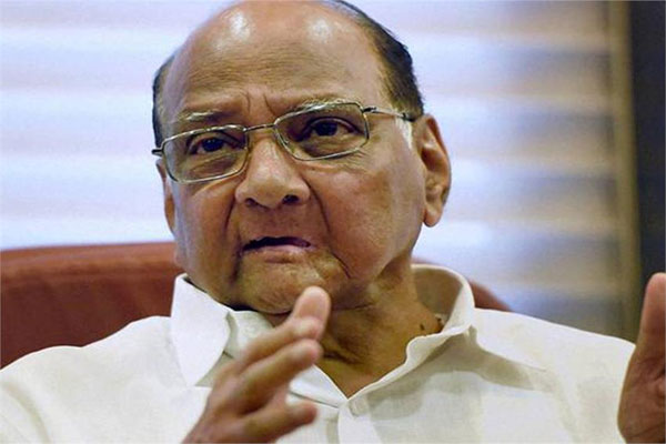 1555519555 sharad pawar