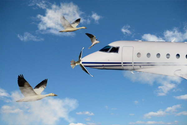1555520584 plane.eps