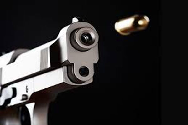 1555521738 gun
