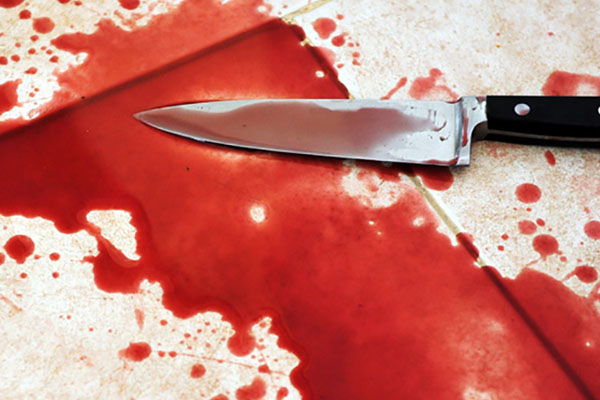 1555735673 murder lover