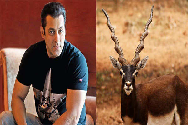 1555735833 salmaan 1