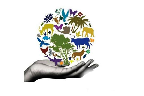 1555735858 biodiversity conservation