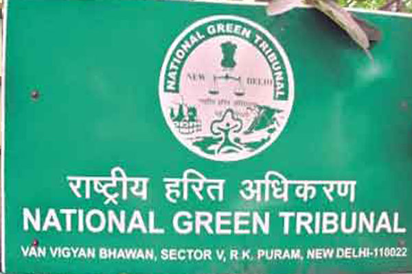 1555736456 ngt