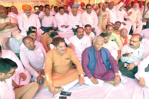 1555736478 bjp mp