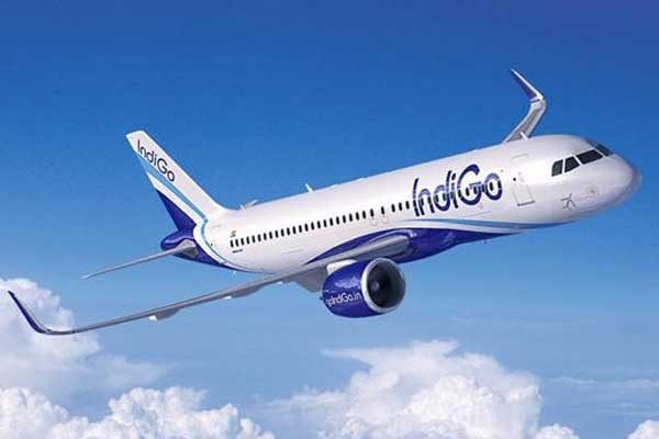1555746450 indigo 1 e1520917478297