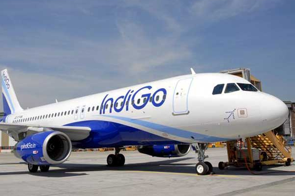 1555746554 indigo