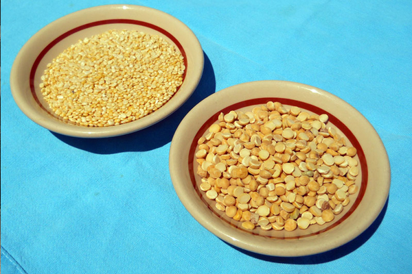 1555746622 daal600