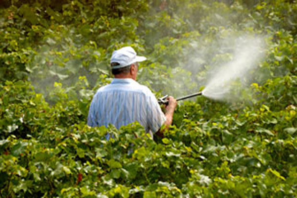 1555748391 pesticide