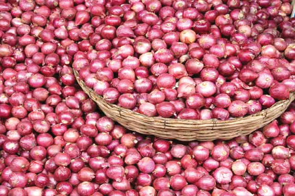 1555748606 onion