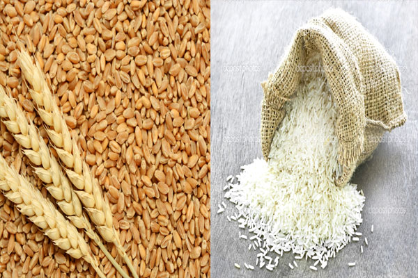 1555748927 wheat