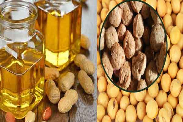1555749009 penuts vs soya600