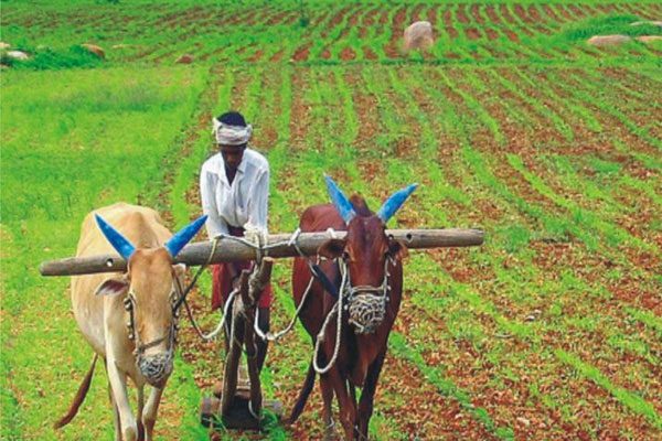 1555749037 farmer 1 e1530682946787