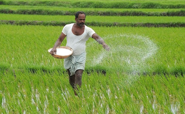 1555755279 fertilizer