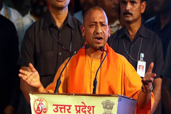 1555760011 yogi1
