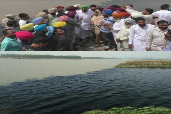 1555764461 sukhpal khaira punjab
