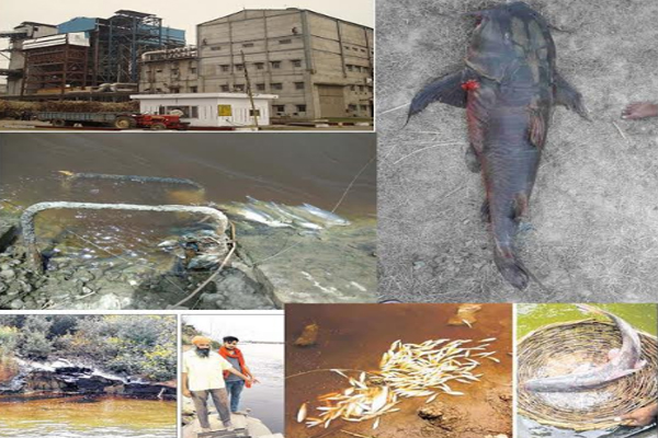 1555764474 chadha sugar mill