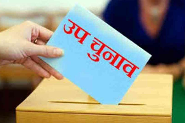 1555764501 mp by election