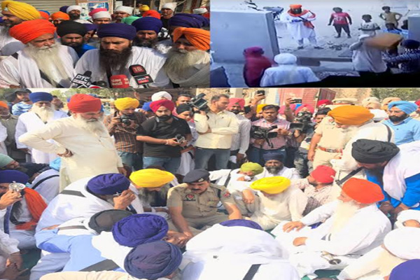 1555764612 dera sacha sauda