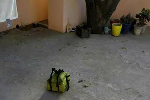 1555764620 bags
