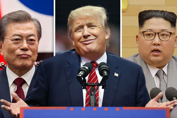 1555767185 nk sk donald