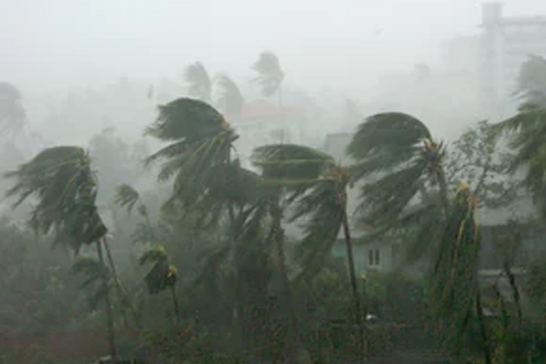 1555919432 storm