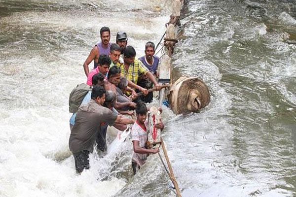 1555919543 shri lanka rain