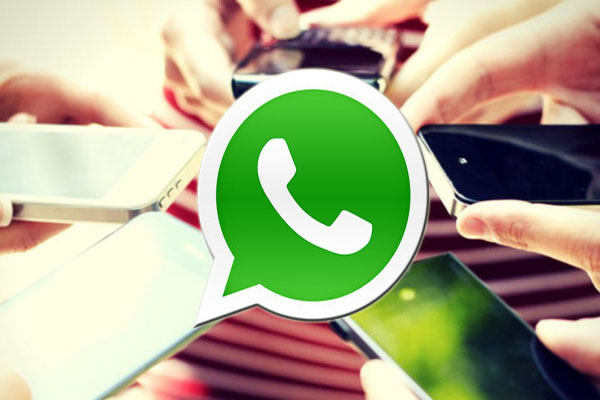 1555920072 whatsapp group