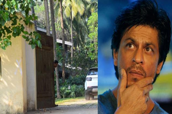 1555937832 srk