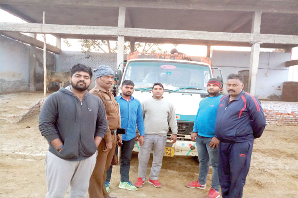1556007168 cow smuggler