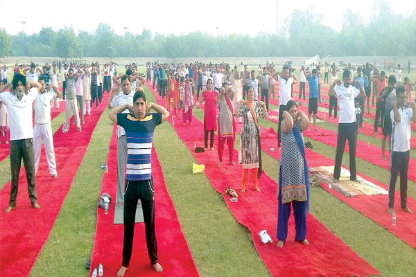 1556008981 yog hr