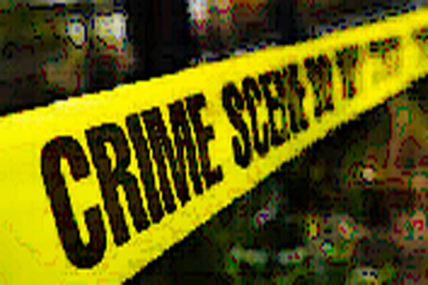 1556012863 crime