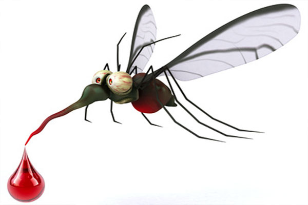 1556012926 dengue