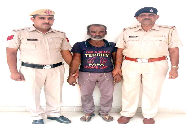 1556013515 arrest