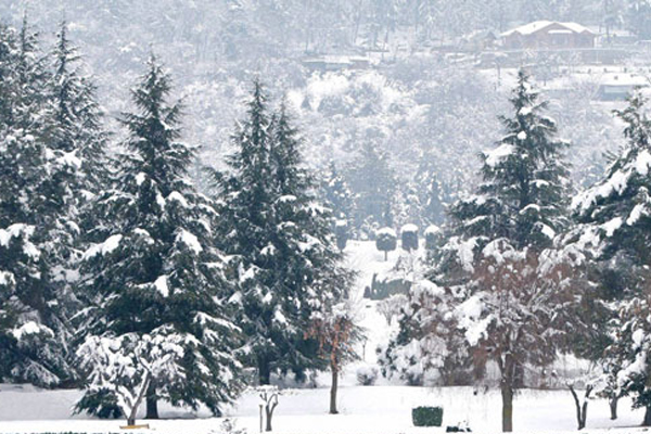 1556020377 kashmir snowfall cold