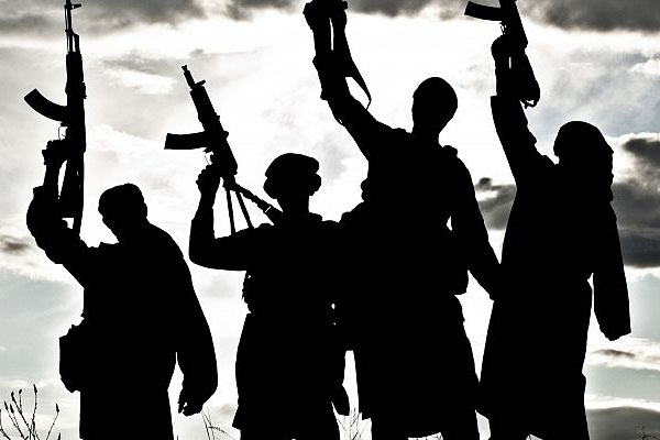 1556020435 terrorist
