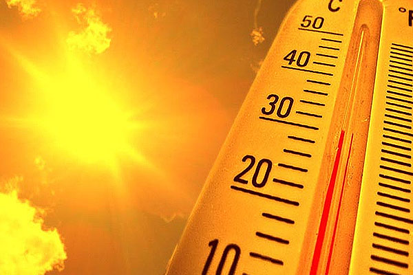 1556029943 delhi weather3