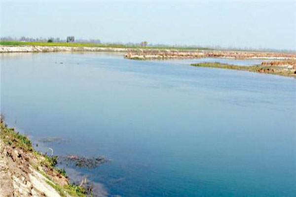 1556030854 yamuna river