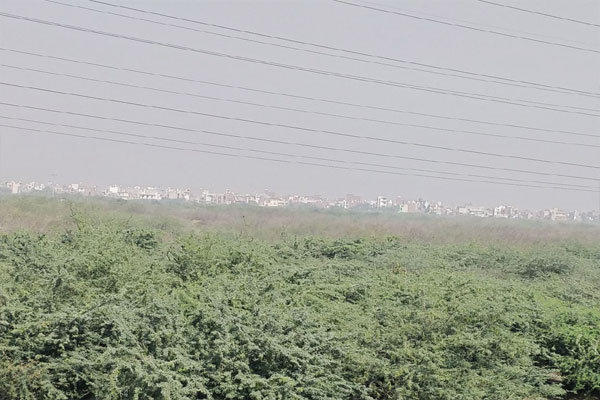 1556031396 land fill