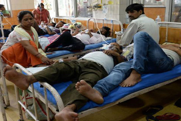 1556031653 dengue