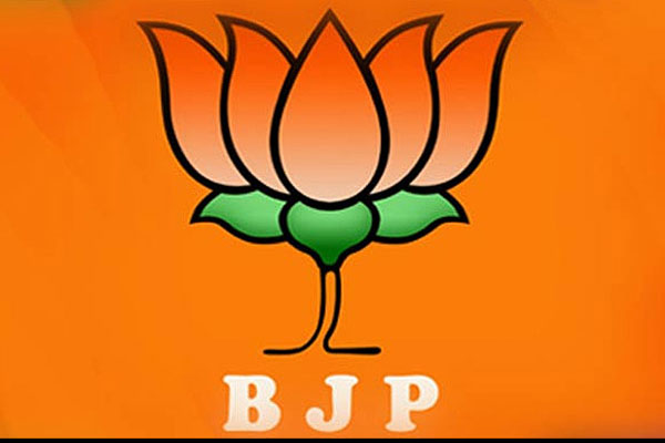 1556086336 bjp