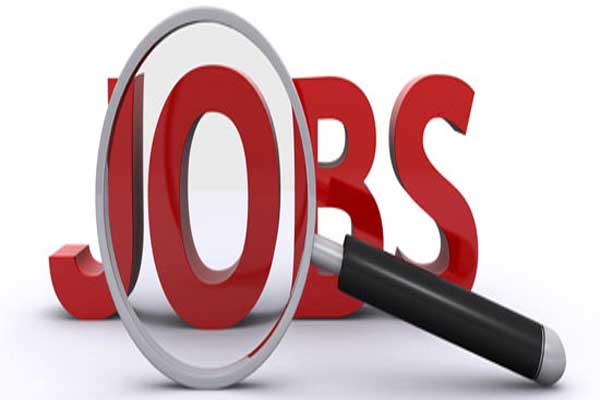 1556088598 job